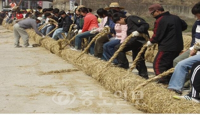 ▲ 당진시 기지시줄다리기 축제위원회는 줄 제작 첫날인 1일 주민ㆍ관광객 등 500여 명이 참여해 축제의 성공을 기원했다.