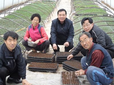 ▲ 이중호 동면장이 동면 동산리 이민웅씨의 고추비닐 하우스를 찾아 일손을 돕고 있다. <사진 왼쪽부터> 주호응 의용소방대장, 임순자, 이중호 동면장, 이헌 이장협의회장, 이민웅씨.