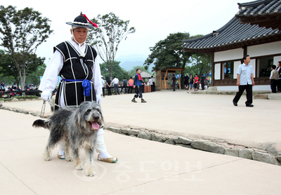 ▲ 서산 해미읍성 기마순찰대와 풍산개 모습.