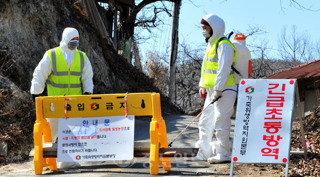 ▲ 계룡시 두마면 양계농가에서 AI 의심 신고가 접수된 가운데 12일 초동방역팀이 해당농장 입구에서 이동제한 조치를 하고 있다. 계룡=손인중 기자 dlswnd98@