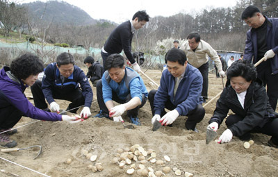 ▲ 대전 대덕구 법1동 주민들이 텃밭에서 밭작물을 수확하고 있다.
<br /> 