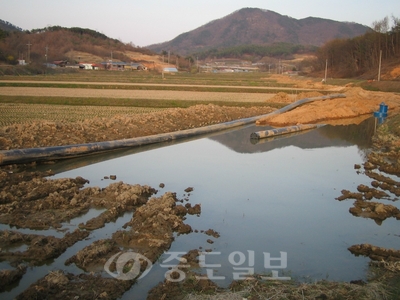 ▲ 한국농어촌공사 천수만사업단이 무리한 공사 추진으로 농사철에 용수로 매설을 위해 파헤친채 방치돼 물바다로 변한 홍성군 홍동면 금당리 논 모습.