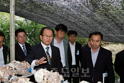 ▲ 이석화 청양군수가 군청사에 설치한 표고배지 재배사 시범포를 둘러보고 있다. 