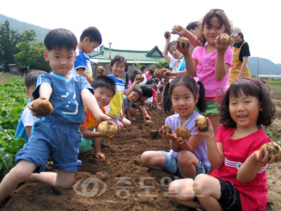 ▲ 지난해 '제10회 서산 팔봉산 감자축제' 모습.