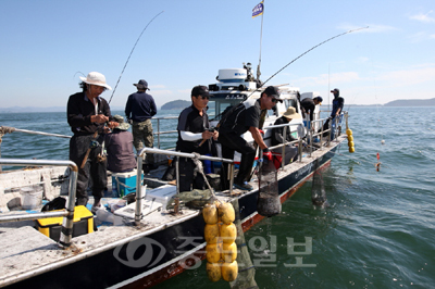 ▲ 바다낚시의 메카 태안반도가 낚시꾼으로 연중 북적거리고 있다. 사진은 태안 앞바다에서 배낚시를 즐기는 강태공들의 모습.