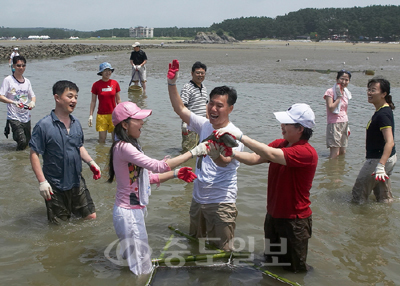 태안반도에서 독살 체험이 인기를 끌고 있다. 사진은 지난해 관광객들의 독살 체험 모습.