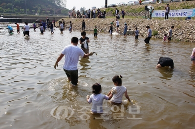 ▲ 사진은 작년 앙성온천축제서 사람들이 맨손으로 물고기 잡는 모습.