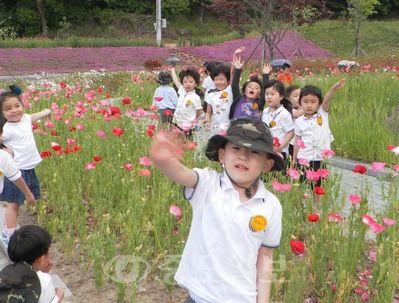 ▲ 청양고추문화마을 양귀비꽃밭을 찾은 어린이들. 