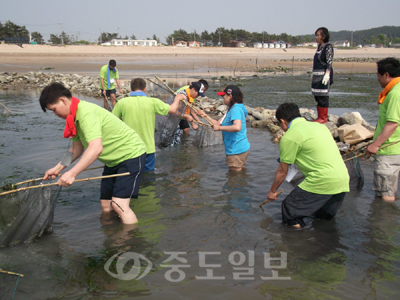 ▲ 소원면 지역공동체일자리사업으로 조성된 뒷개너머 독살체험장이 관광객들에게 인기를 끌고 있다.