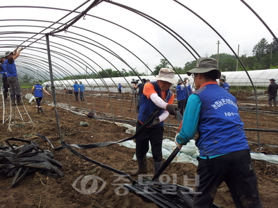 ▲지난 23일 농협충남지역본부와 공주시지부 직원 등 50여 명이 공주시 신풍면 일대 수해현장을 찾아 수해복구를 위해 일손을 돕고 있다. 