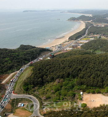 안면도의 드넓은 해수욕장과 시원하게 뻗은 안면송 사이로 명품 생태탐방로가 조성된다. 사진은 '안면송길'이 조성되는 안면읍의 항공사진.