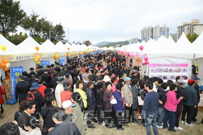 ▲ 지난해 보은대추축제 때 생대추를 사기위해 전국에서 수만명이 축제장을 방문했다.