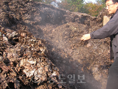 ▲ 기성동에 조성된 퇴비화장에서 낙엽이 1년간 발효ㆍ숙성 된다.