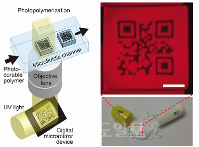 ▲ 　(좌)QR 코드가 새겨진 마이크로식별자를 제작하기 위한 광미세유체 마스크리스 리쏘그래피 시스템의 모식도. 
<br />　(우) 실제 제조된 QR 코드화된 마이크로식별자의 형광사진. 마이크로식별자가 의약품 위조 방지를 위해 캡슐 안에 첨가돼 있다 