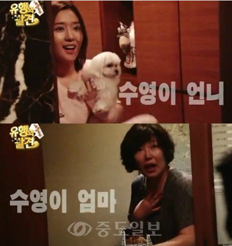 ▲ 사진=SBS 공식 트위터