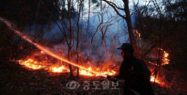 ▲ 지난 13일 밤 논산시 벌곡면 신양리 진달래공원묘원 뒷산에서 발생한 산불이 10시간여 만인 14일 오전 7시께 진화됐다. 
<br />연합뉴스