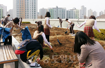 ▲ 희망학생 80명을 대상으로 도시농부 프로젝트를 진행해 학교 옥상 화단 가꾸기 등 자연의 고마움을 깨닫게 한다.