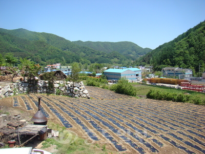 ▲ 대전 동구 하소동 산업단지 조성 예정지.