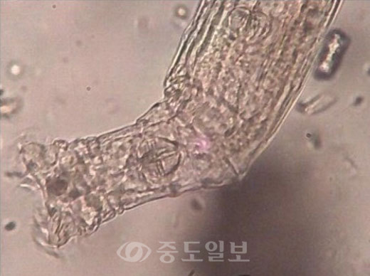 ▲ 사진=온라인 커뮤니티
