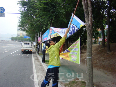 유성구청 직원들이 16일 오전 가로수에 부착된 현수막을 떼어내고 있다. 구청 직원들은 이날 2시간 동안 불법현수막 450장을 수거했다.