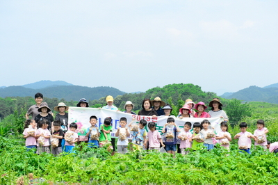 ▲ 19일 연서면 월하리 텃밭에서 열린 차세대 도시농부교실에 참석한 어린이들과 도시농업연구회원들이 수확체험을 하고 있다.