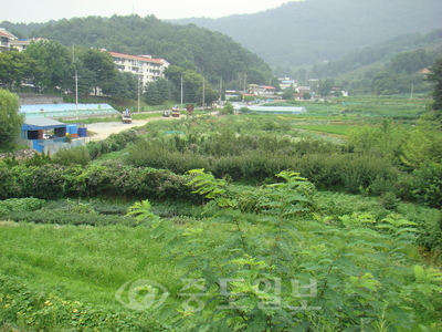 ▲ 연축지구 도시개발계획이 예정된 연축동 일원의 전경. 개발행위허가 제한구역에 묶여 있다.