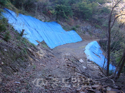 대전 동구 상소동 한 야산에 호주 광물자원 탐사기업인 스톤헨지 메탈즈가 진행한 바나듐 채취 현장이 보존돼 있다.