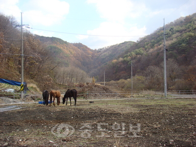 ▲우라늄광산 불허와 관련 오는 27일 결심공판을 앞둔 금산 목소리의 골짜기 전경.