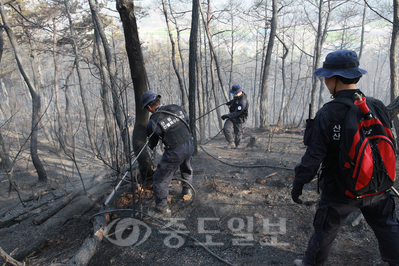 ▲ 5일 낮 12시 39분께 부여군 석성면 한 야산에서 불이 나 산림당국이 진화작업을 벌이고 있다.
<br /> 산림청 제공