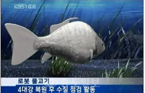 ▲ 4대강 로봇물고기 /사진=KBS뉴스 캡처