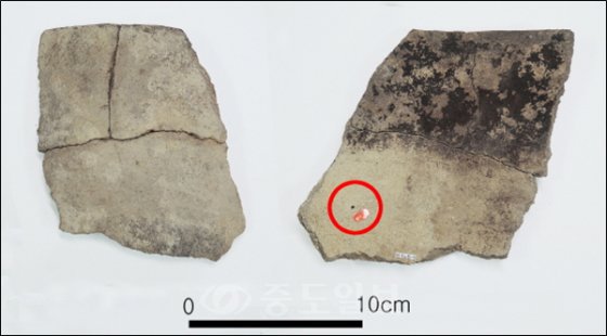 ▲ ‘가장 오래된 팥 흔적’ /사진=문화재청 