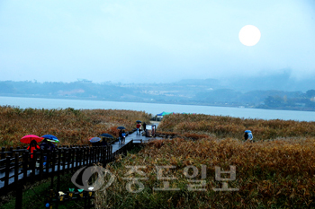 ▲ 서천 갈대축제 모습