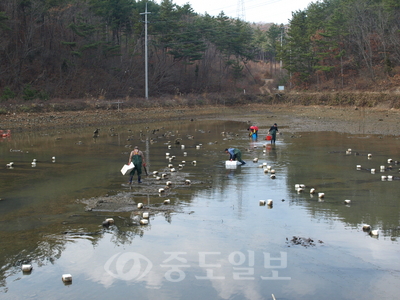 ▲해삼 양식시설(수산연구소)