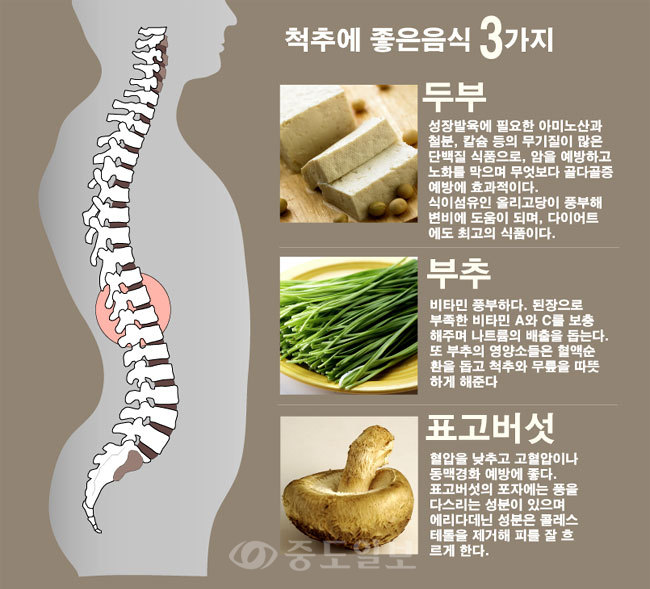 ▲ 척추에 좋은 식품