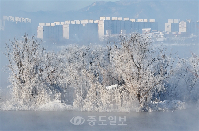 ▲ 한파가 몰아친 18일 강원 춘천시 소양강에 상고대가 피어나 있다.