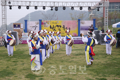 ▲ 주민들이 주도하는 정림동 벚꽃 축제가 서구를 대표하는 축제로 발전하고 있다. 매년 4월 개최되는 이 축제는 올해 제4회 축제가 열릴 예정이다.