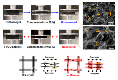 ▲ 각기 다른 방법으로 제조된 그래핀 에어로젤의 동일한 압축률(ε=60%)에서의 복원력 테스트 결과 및 주사전자현미경 이미지(상). 그래핀 에어로젤의 물성향상 메커니즘 모식도(하).