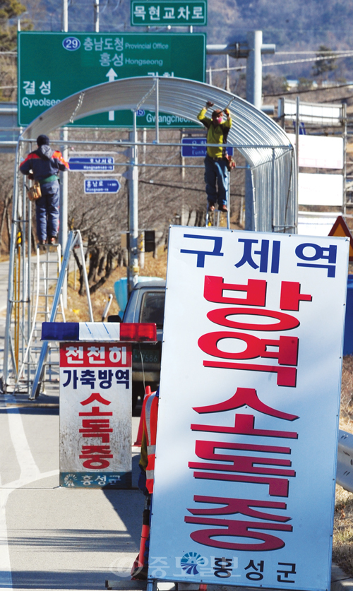 ▲ 구제역 확진판정을 받은 지 이틀이 지난 9일 홍성군 은하면 발생농가 주변 도로에서 작업자들이 터널식 소독시설 공사를 하고 있다. 내포=박갑순 기자 photopgs@