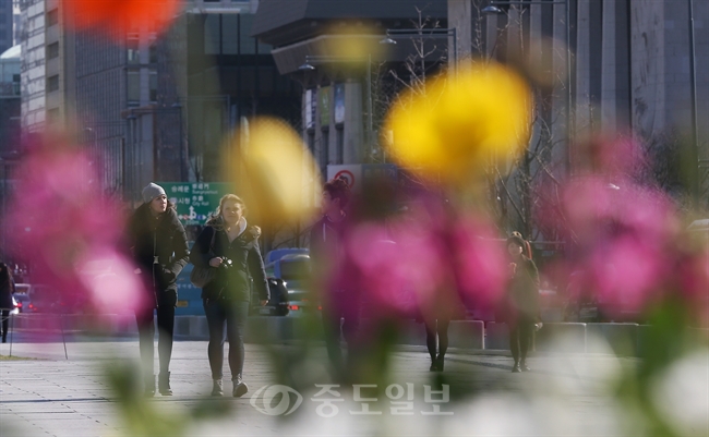 ▲ 찬바람과 함께 반짝 추위가 찾아온 23일 오후 서울 광화문 광장을 찾은 외국인 관광객들이 두꺼운 복장을 한 채 걸어가고 있다./연합뉴스