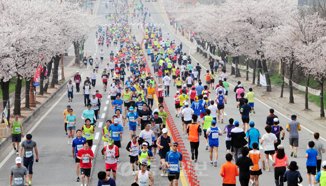 ▲ 제11회 예산벚꽃 전국마라톤대회가 12일 예산군 일원에서 펼쳐져 전국 각 지역에서 모인 마라토너들이 벚꽃로를 가득 메운 채 힘차게 달리고 있다.
<br />
<br />예산=특별취재반