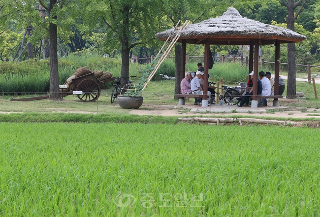 ▲  낮 기온이 31도를 기록한 16일 오후 공원에서 어르신들이 오두막 밑에서 더위를 식히고 있다./연합뉴스