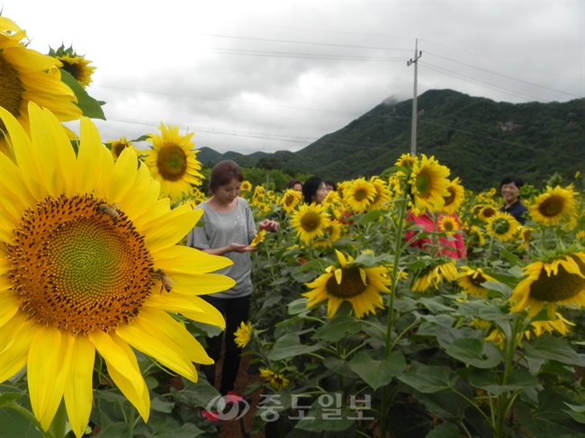 ▲ 연합뉴스 제공