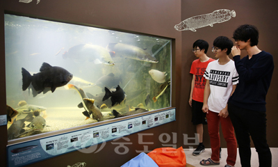 ▲ 제이렙타일 체험객들이 세계에서 가장 큰 열대어인 피라루크 등 열대어종을 관람하고 있다.
<br />