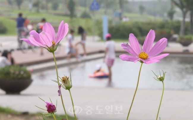 ▲ 구름많고 오후 소나기… 광복절 연휴 날씨 /연합뉴스 제공 