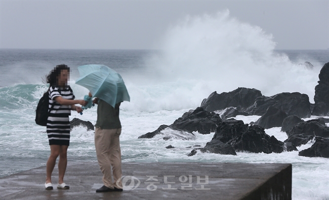 ▲ 24일 오전 제15호 태풍 '고니'의 북상으로 제주 서귀포 등이 간접 영향권에 들어간 가운데 서귀포시 새연교 방파제를 찾은 관광객들이 거세진 파도를 구경하고 있다./연합뉴스