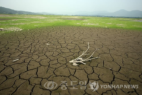 ▲  대전과 세종·충남에 내린 강수량은 58.3㎜로 1973년 이후 42년만에 가장 적은 양으로 집계됐다. /사진=연합DB