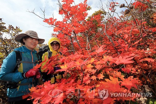 ▲ 설악산국립공원 /사진=연합DB