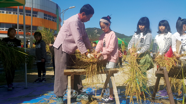 ▲ 내포초등학교 학생들이 친환경농민과 함께 탈곡 체험을 하며 즐거워하고 있다.