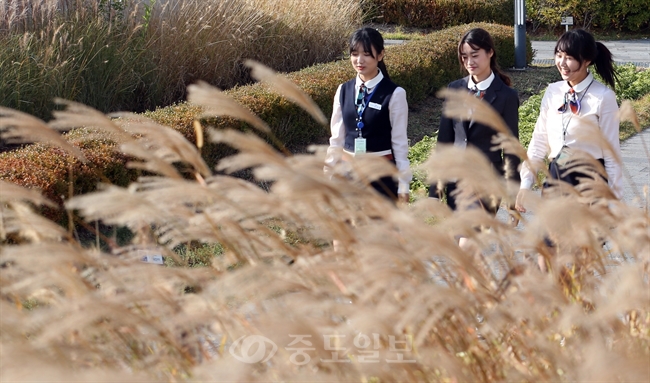 ▲ 완연한 가을 날씨를 보인 27일 오후 정부세종청사 직원들이 옥상정원에 조성된 억새밭 사이를 거닐며 가을 정취를 느끼고 있다./연합뉴스 
<br />