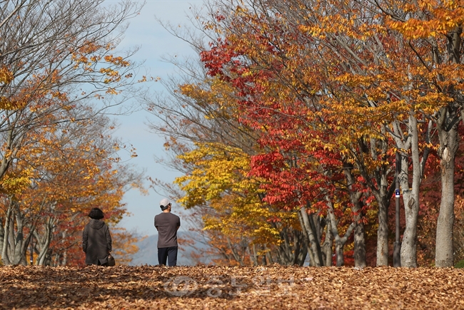 ▲ 연합뉴스 제공